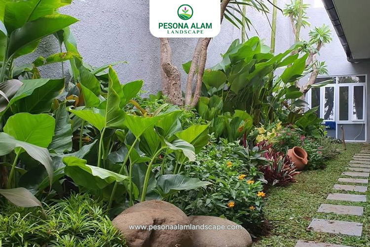 tukang taman pasar minggu